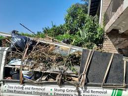 Recycling Services for Junk in Johnson City, TX